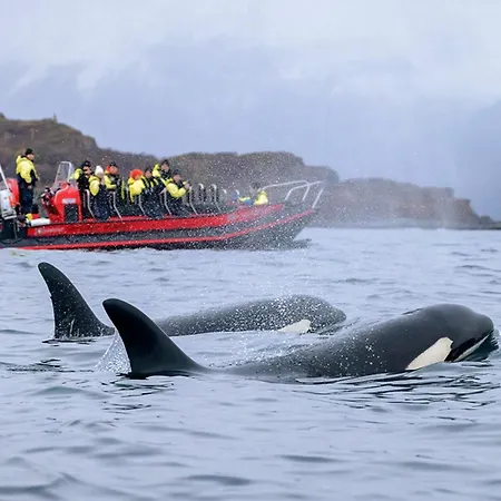 Tatil Evi Lankanholmen Andenes